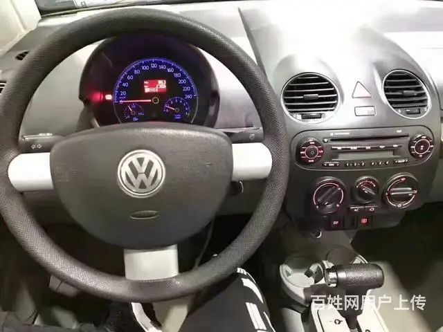 大众甲壳虫掀背 [进口] 2009款 2.0L 自 - 图片 10