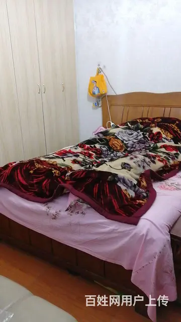 房屋出租 - 图片