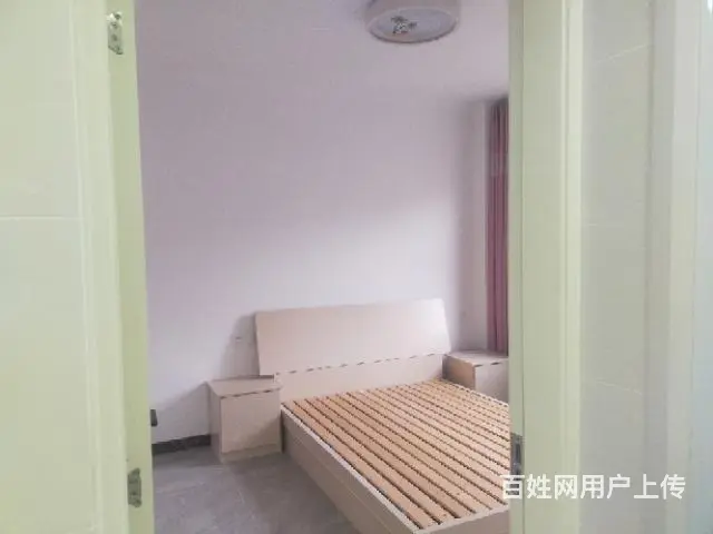 新房子出租啊，不能养狗不能养猫 - 图片 6