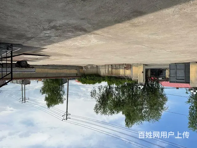 道里机场路新发镇庆丰村厂房出租 - 图片 9