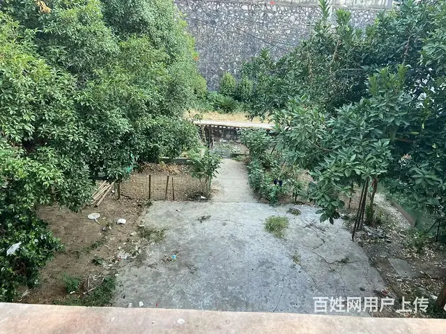 茶山路凤凰山 普通住宅 简单装修 - 图片 3