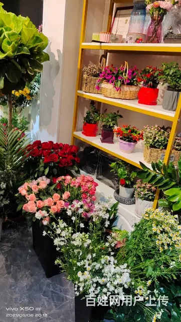7586（七P）个人城中区莫家街马忠商务宾馆对面花店转让 - 图片 4
