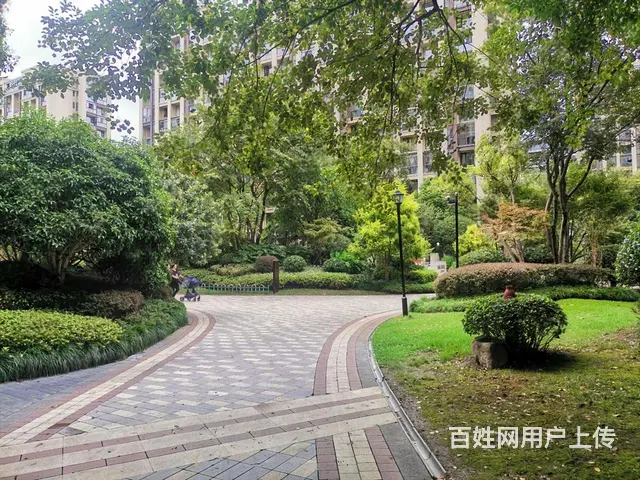 丁桥私房急售！精装修318.00万元龙湖名景台(公寓住宅)多 - 图片 9