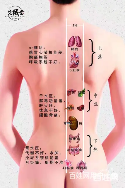 艾绒堂艾绒液对筋骨怎么样，艾灸更方便？霍山 - 图片 8