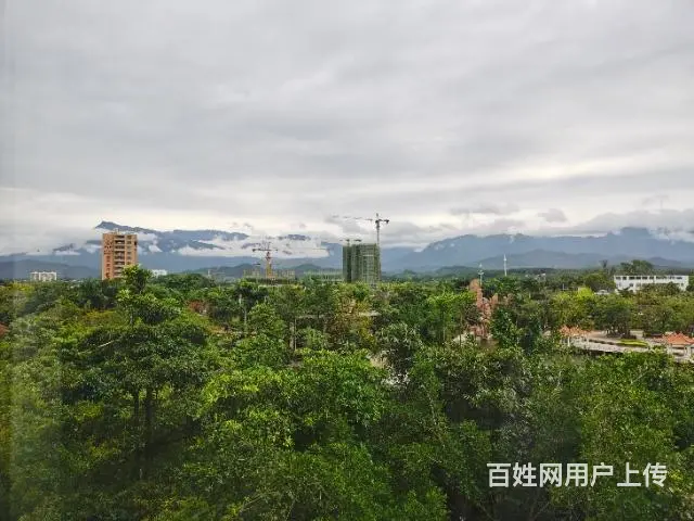 出租公园一品墅一居室 - 图片 5