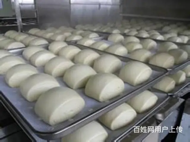 揭阳 早餐包子大众化 口味多 自主创业好项目 - 图片 2