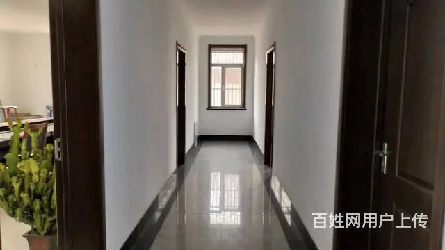 (玖玖)淄川张博路华洋制药公司以东工业独院厂房整租或分租 - 图片 11