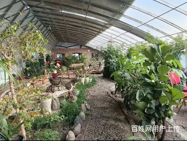 B个人一焉耆县永宁镇风情园对外出售（也可对外承包） - 图片 3
