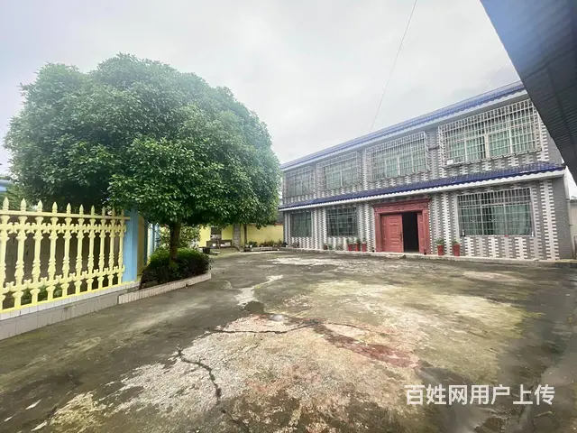（老板本人）岳麓区含浦场地带整栋房屋出租  6305 - 图片 6