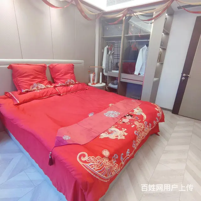 碧桂园天玺，苏宁悦城旁，金鹏玖玖广场旁，送全屋家电 - 图片 6