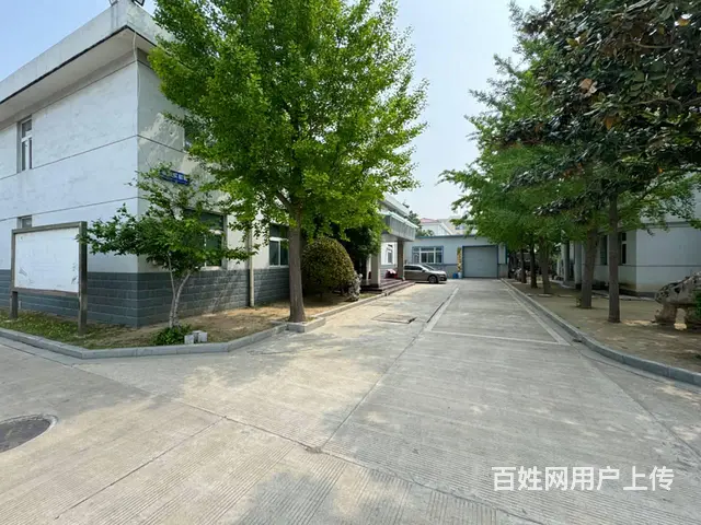 （徐州找店网）金山桥独院标准厂房出租 - 图片 4