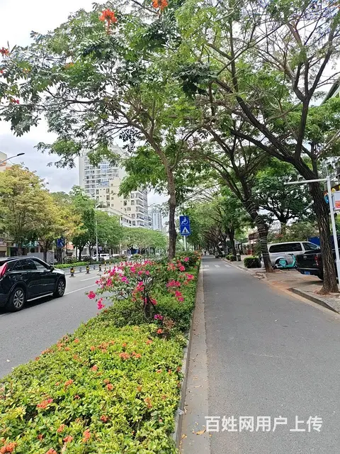 （51旺铺推荐）回新路278平汽车美容店转让 - 图片 12