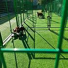 杭州训狗学校 杭州宠物训练学校 训犬学校