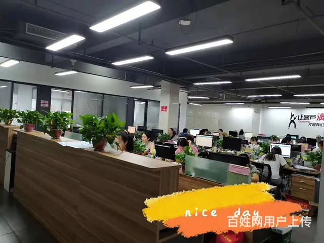 天心区新开铺 青园提供地址办执照 会计做账报税代理 - 图片 2