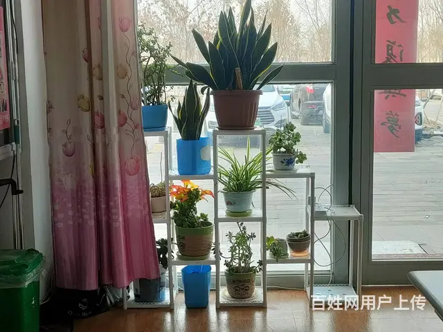 B个人一阿温大道乐美佳苑干洗店对外转让 - 图片 2