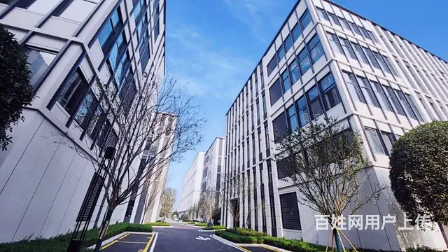 【出租】新兴工业园标准厂房，可享租金补贴 - 图片 11