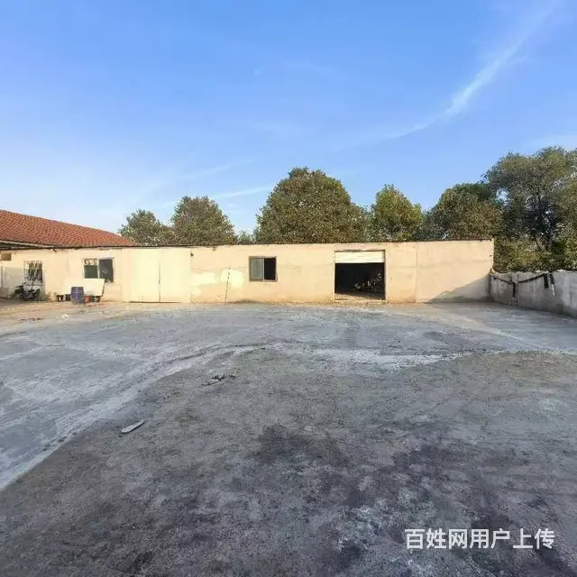 张村前双岛728平独门独院厂房出租，可分租 - 图片 1