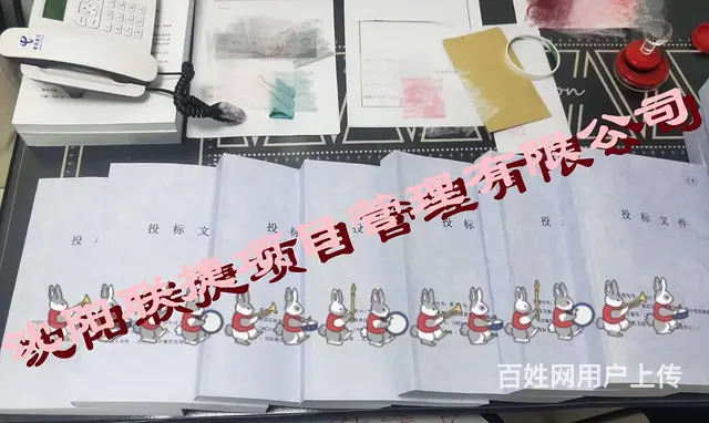 沈阳标书代理，丰富的标书经验，专注于各类标书制作。 - 图片 7