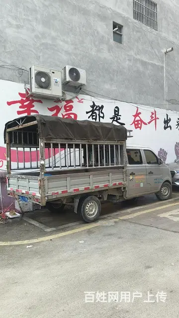 长安 新豹 其他 国5 - 图片 4