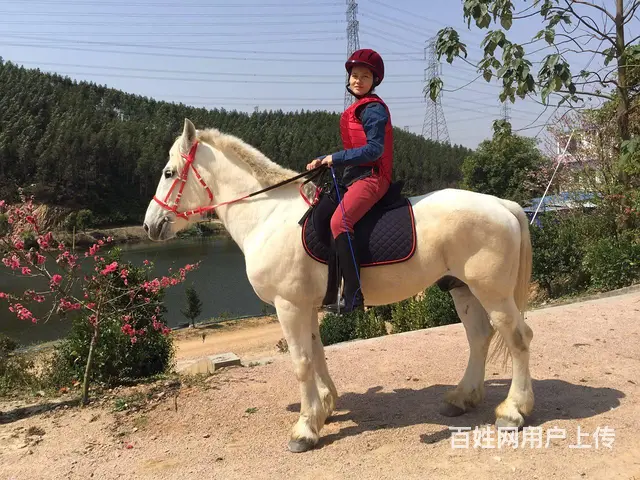 开心游玩强兴农趣园 - 图片 5