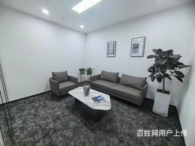 运河网谷核心区 招商蛇口273方豪华装修可配家具 甲方直租 - 图片 6