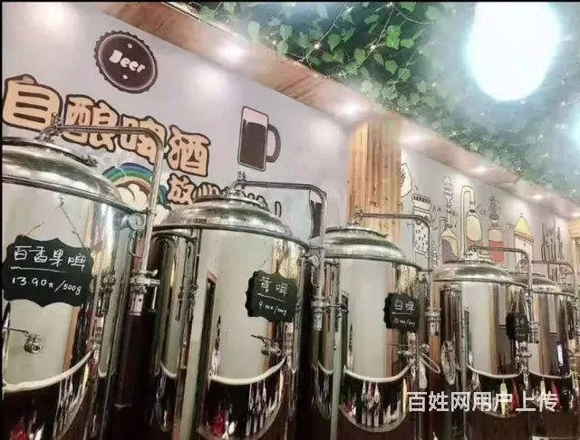 漕河镇夏漕社区二组漕河四路220平酒馆转让 - 图片 6