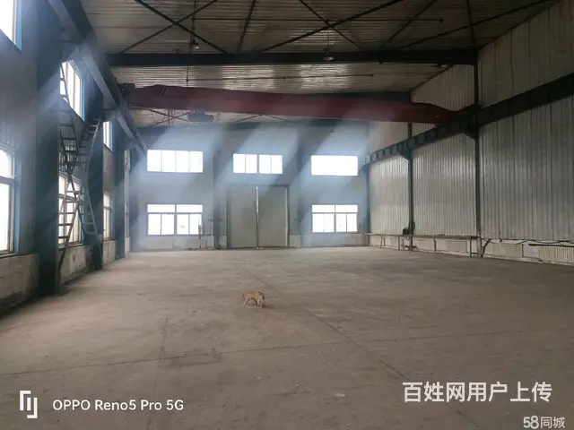 苏家屯800平厂房办公出租 - 图片 8