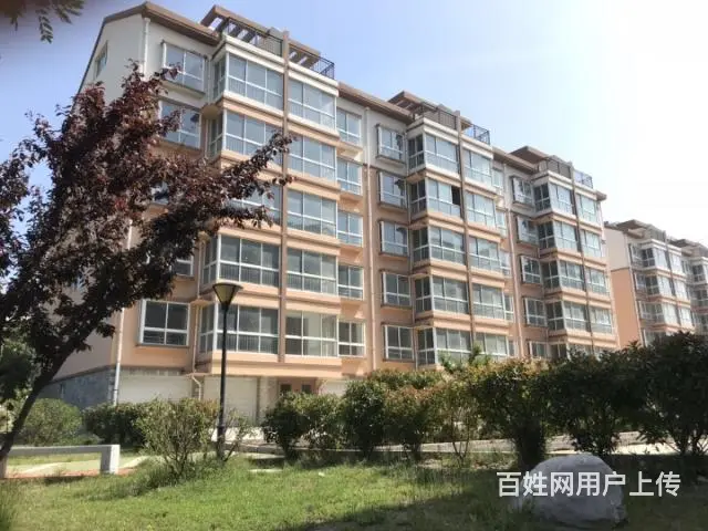 荣成君澜湾 天然氧吧 一线海景房带精装修 拎包入住 - 图片 12