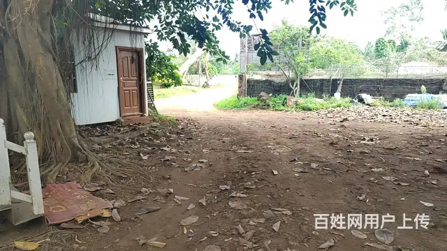 南海大道土地出租，分租，位于宝贵土地 - 图片 7