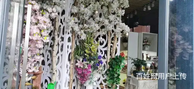 急转！毕节市黔西县莲城金街国医馆楼下55平吻合花艺 - 图片 6