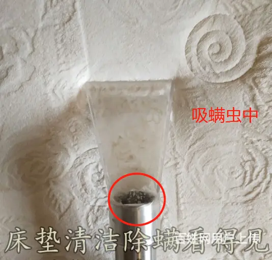 广州江南西除螨公司，清洁螨虫服务，上门清洗床垫除螨 - 图片 2