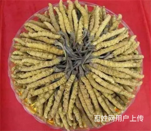 荔湾虫草回收价格前景-荔湾虫草回收行情了解 - 图片 2