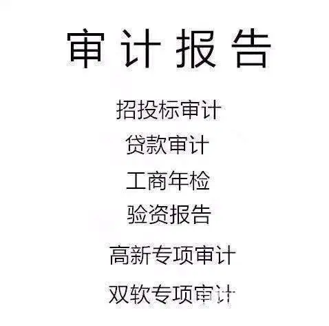 代办企业出具审计报告，专业放心可靠 - 图片