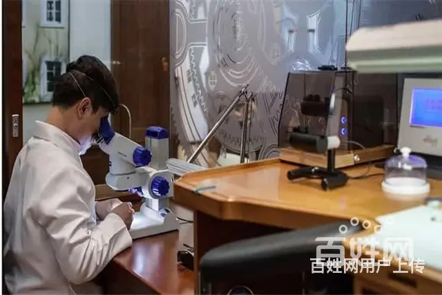 高端北京朗格维修中心 - 图片 8