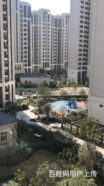 市区 地铁2号线 纯新改善盘 精装修 低价出售 - 图片 5