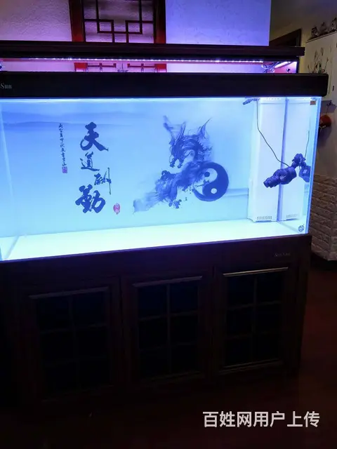 苏州哪里卖鱼缸，哪里有做鱼缸养护清洗的 - 图片 2