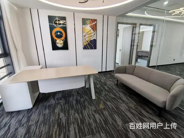 会展宝龙一城观音山地铁软件园 明丰财富中心 豪装带家具多套 - 图片 9