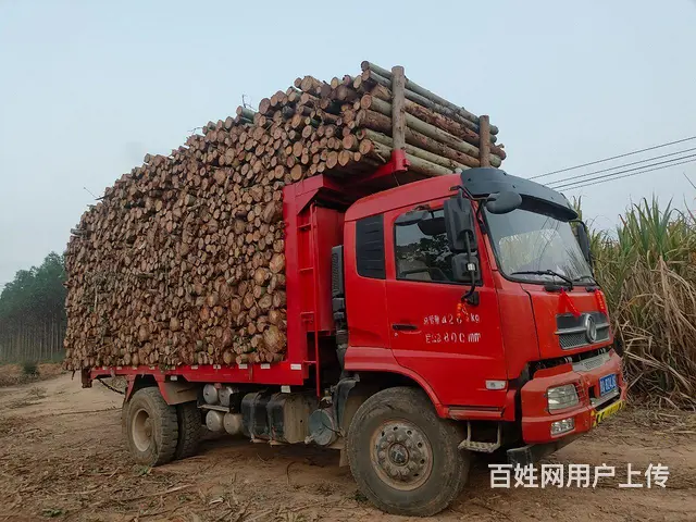 东风 天锦 自卸车 国5 - 图片 4