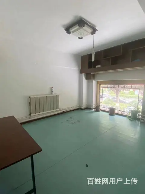 7841（七P）个人城中区南京路临街铺面出租 - 图片 11