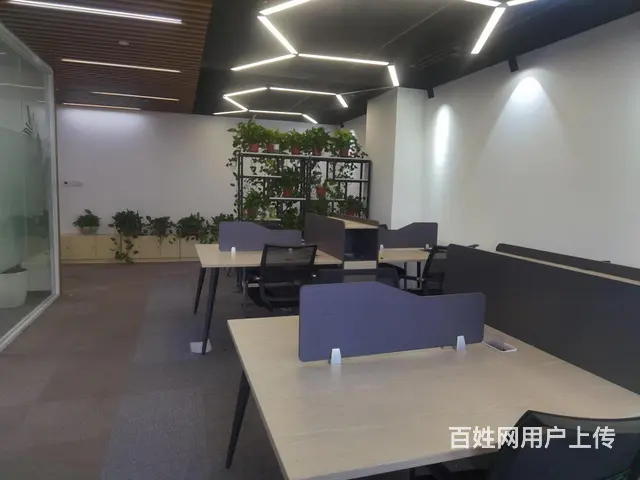 云狐科技园，滨江直播基地，精装出租30至600方，多套可选！ - 图片 1