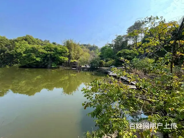 从化区鳌头有38庄园鱼塘民宿餐馆山庄整体出租 - 图片 9