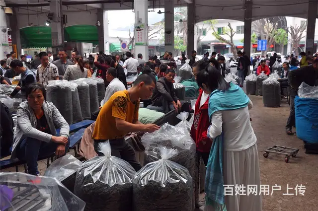 茶艺培训去哪里？ 天晟茶艺培训学校 - 图片 3