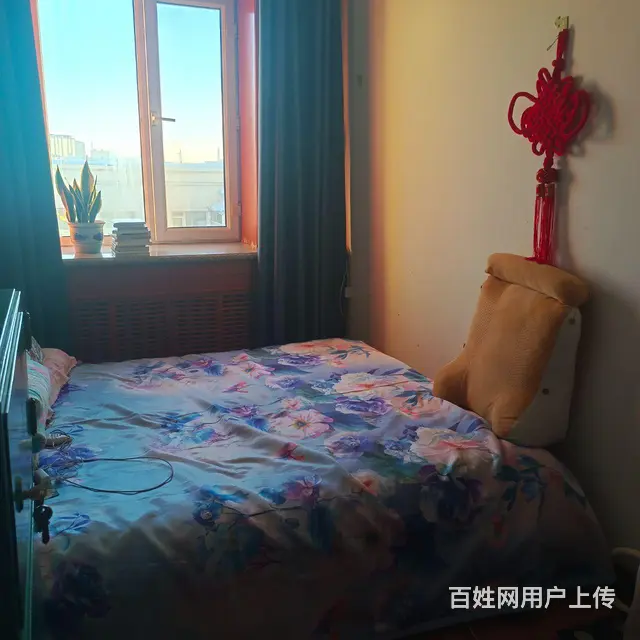 28委成龙小区多选学区，满五，空学籍 - 图片 3
