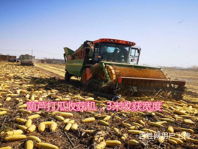 2020新款大力葫芦打瓜取籽收获机 液压分瓜噐zy