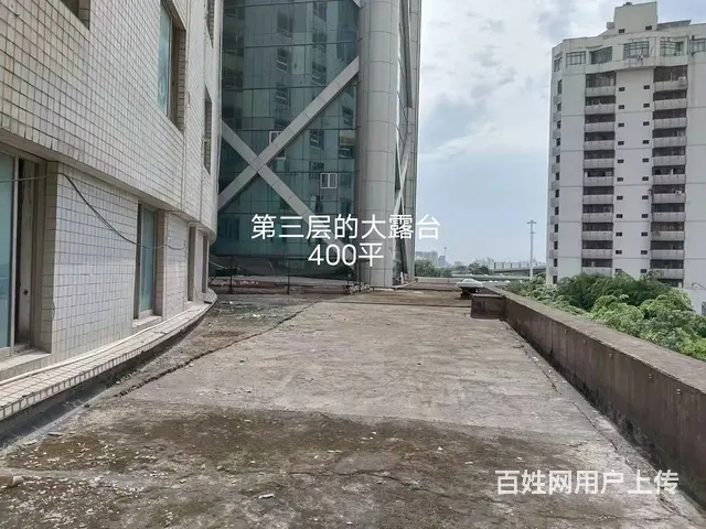 （51旺铺推荐）龙昆北路海景湾大厦5000平招商 可分租 - 图片 7
