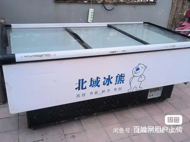闲置冰柜600升 - 图片 1