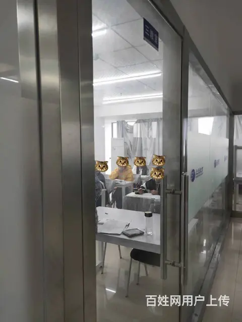 初级会计考证考试难度怎么样 海宁初级会计职称培训 - 图片