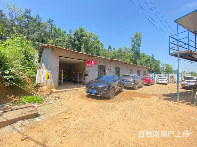 (房东直租)金星大道北二环300平独院厂房优价出租 - 图片 1