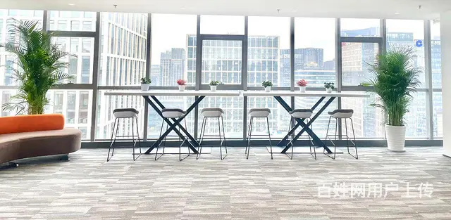 成都银泰城高新区天府四街精装20+200工位出租 - 图片 8