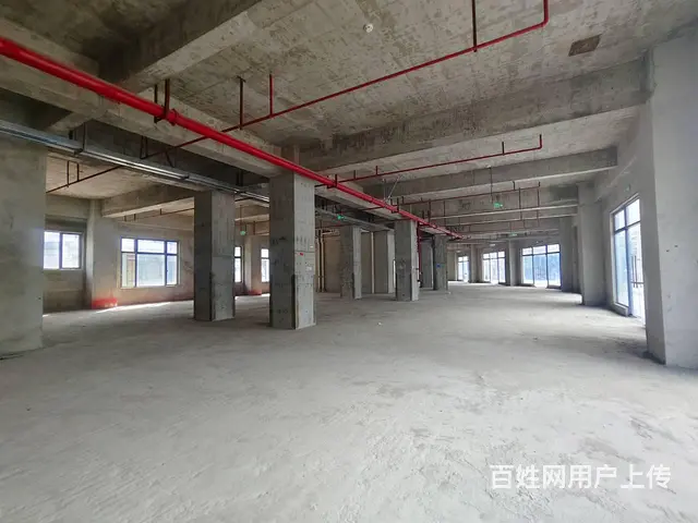 （51旺铺推荐）南沙路整栋4351平招商 - 图片 7